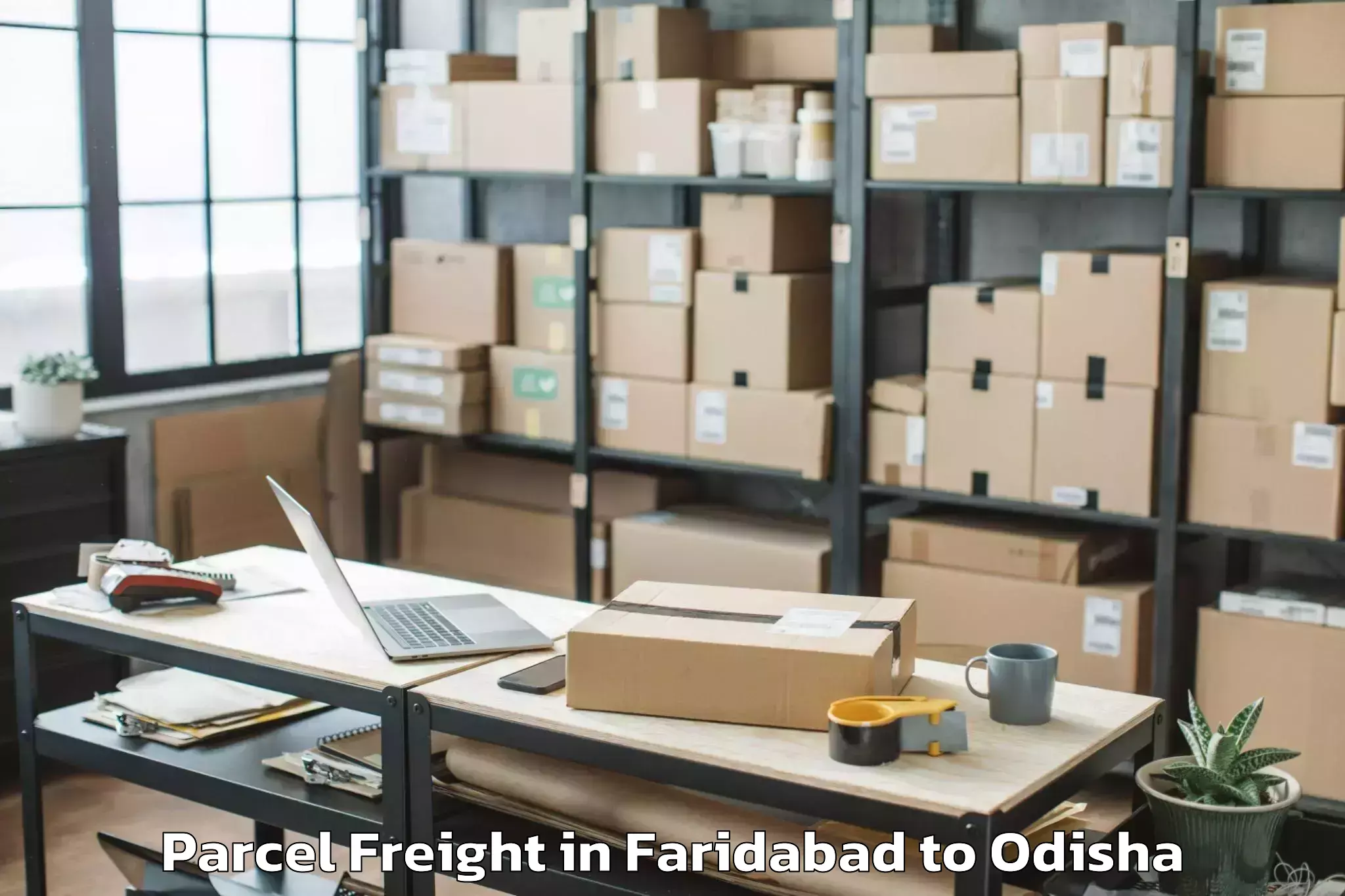 Book Faridabad to Burla Parcel Freight